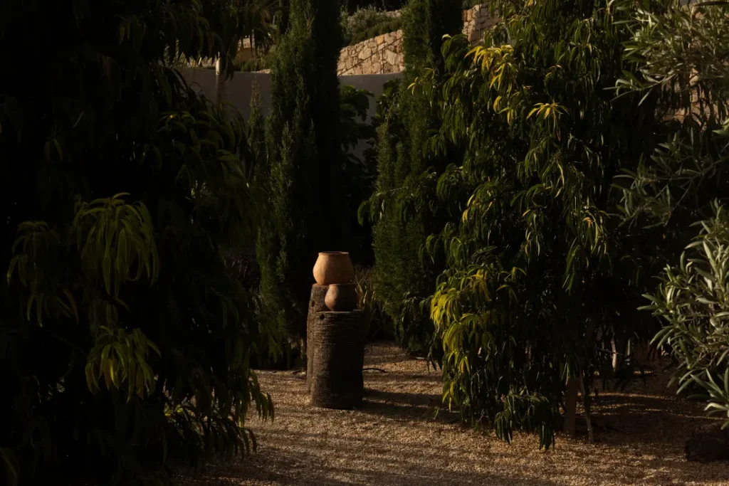 Villa Mimosa